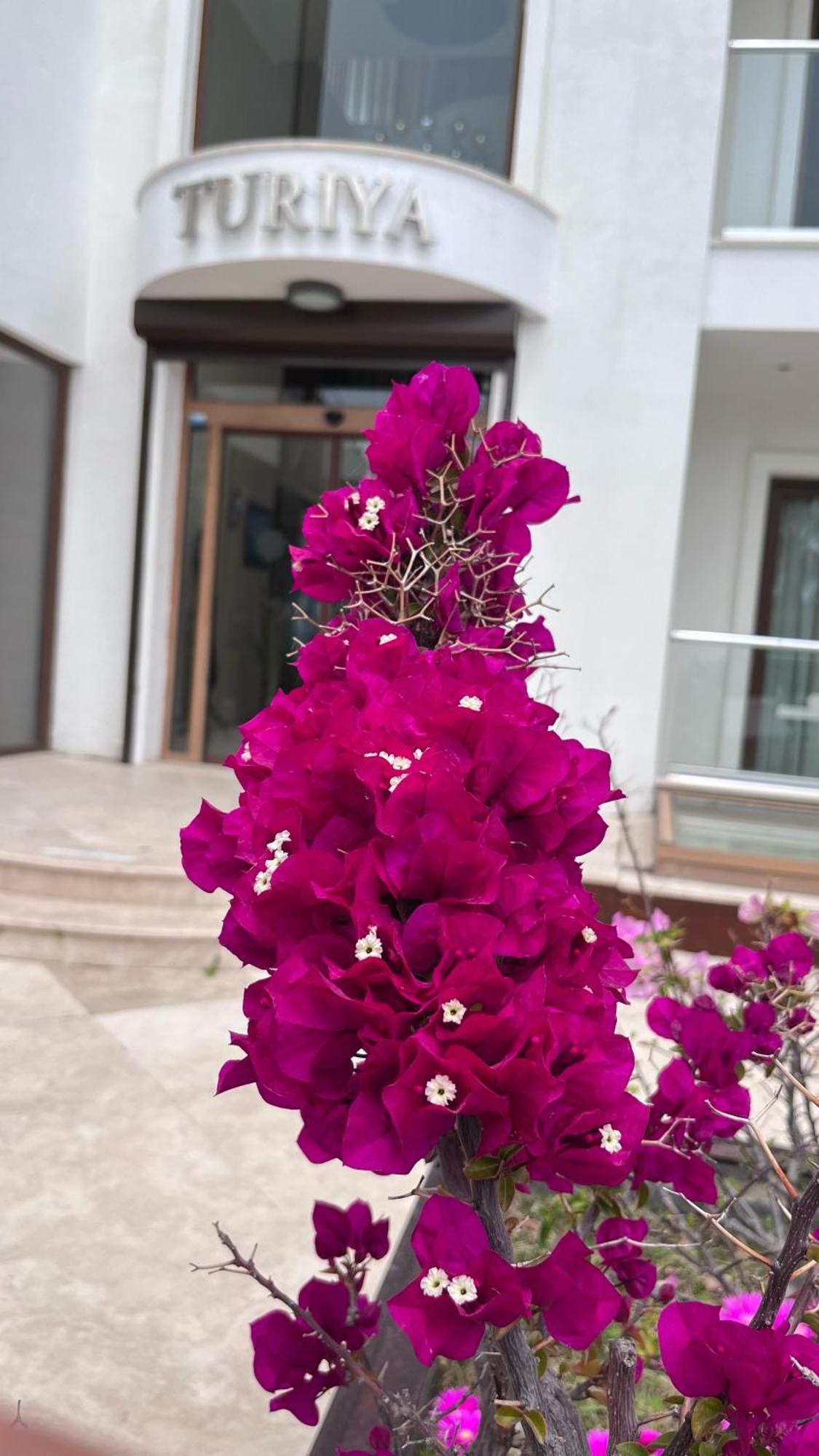 Hotel Turiya Turgutreis Exterior photo